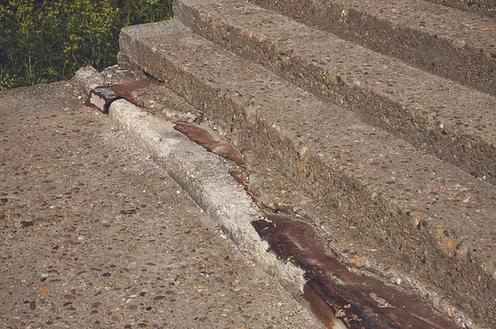 Fitness For Habitation & HHSRS Awareness